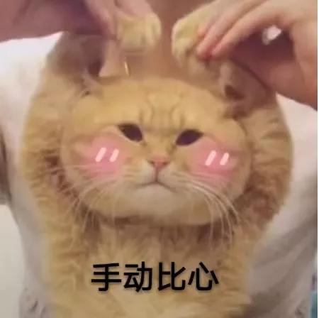 林志玲算不算高龄产子,林志玲47岁还能生吗