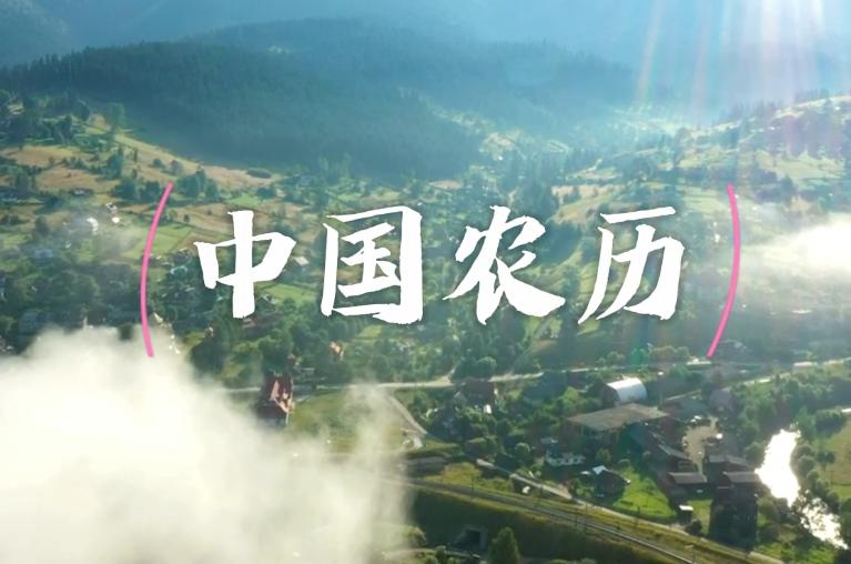 今年为什么有闰二月？农历新年用“LunarNewYear”到底对不对？