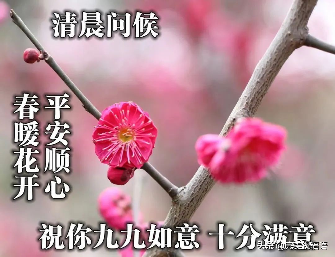 早上好表情图大全最新,早上好祝福健康平安动画表情