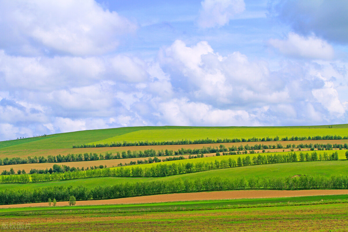 王菲献唱万里归途是什么曲风,王菲献唱万里归途主题曲版权在哪
