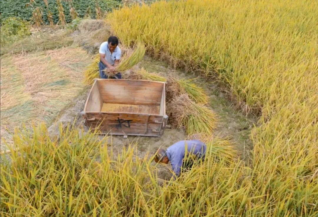 安徽黄山歙县旅游节,安徽人游黄山2017年