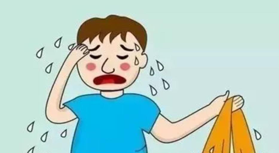 动物的生殖系统和人不一样么,动物的生殖系统跟人一样吗