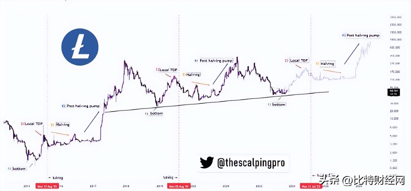 莱特币减半今后走势预测最新公布,莱特币过去三年走势预测最新消息