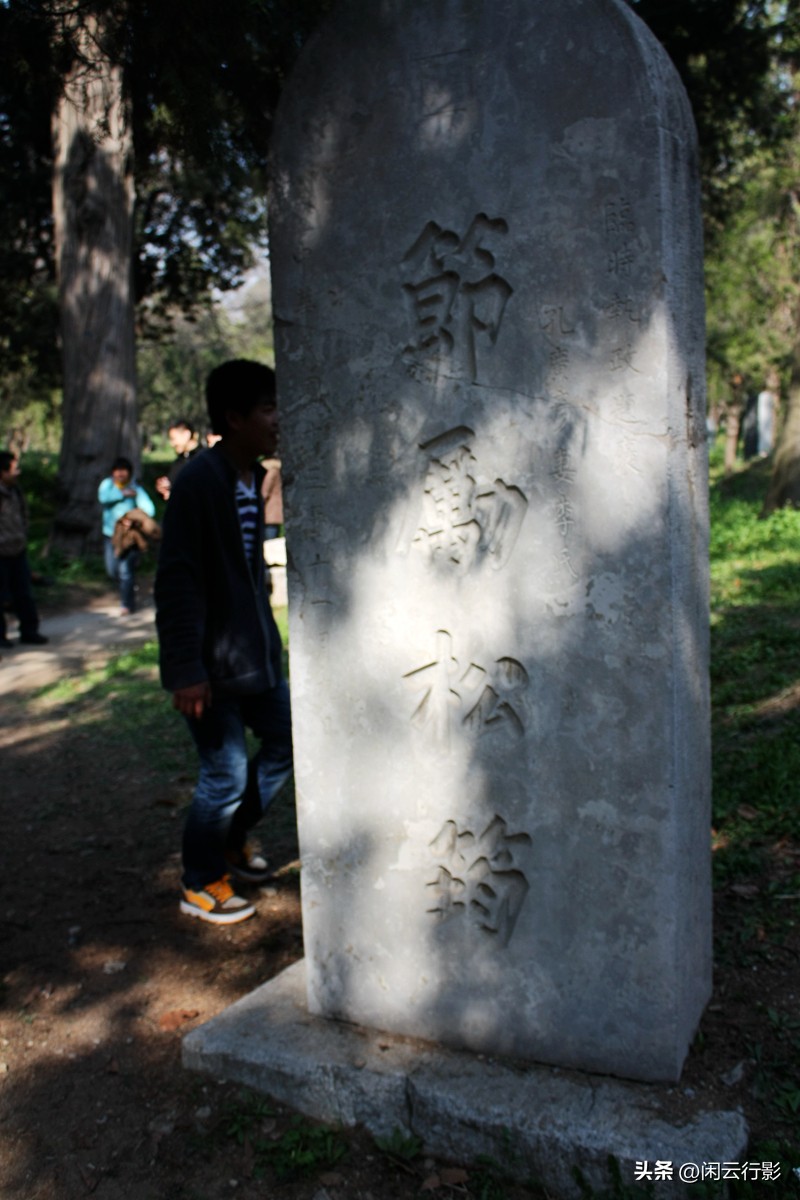 曲阜孔林有哪些历史名人的墓,曲阜孔林的墓地在哪里