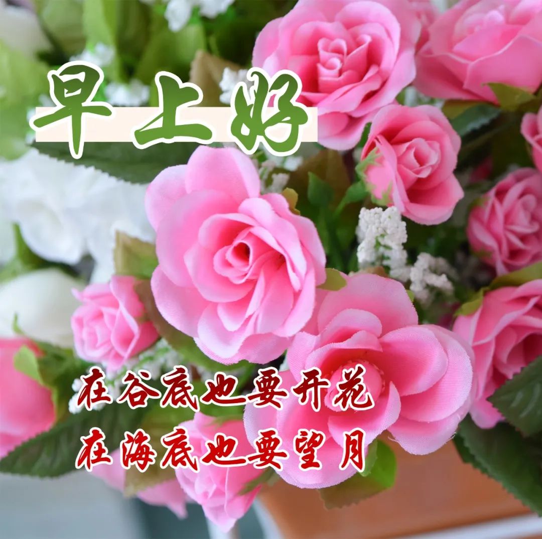 大家早上好带文字问候动态图片,最新早安问候健康平安动态图片
