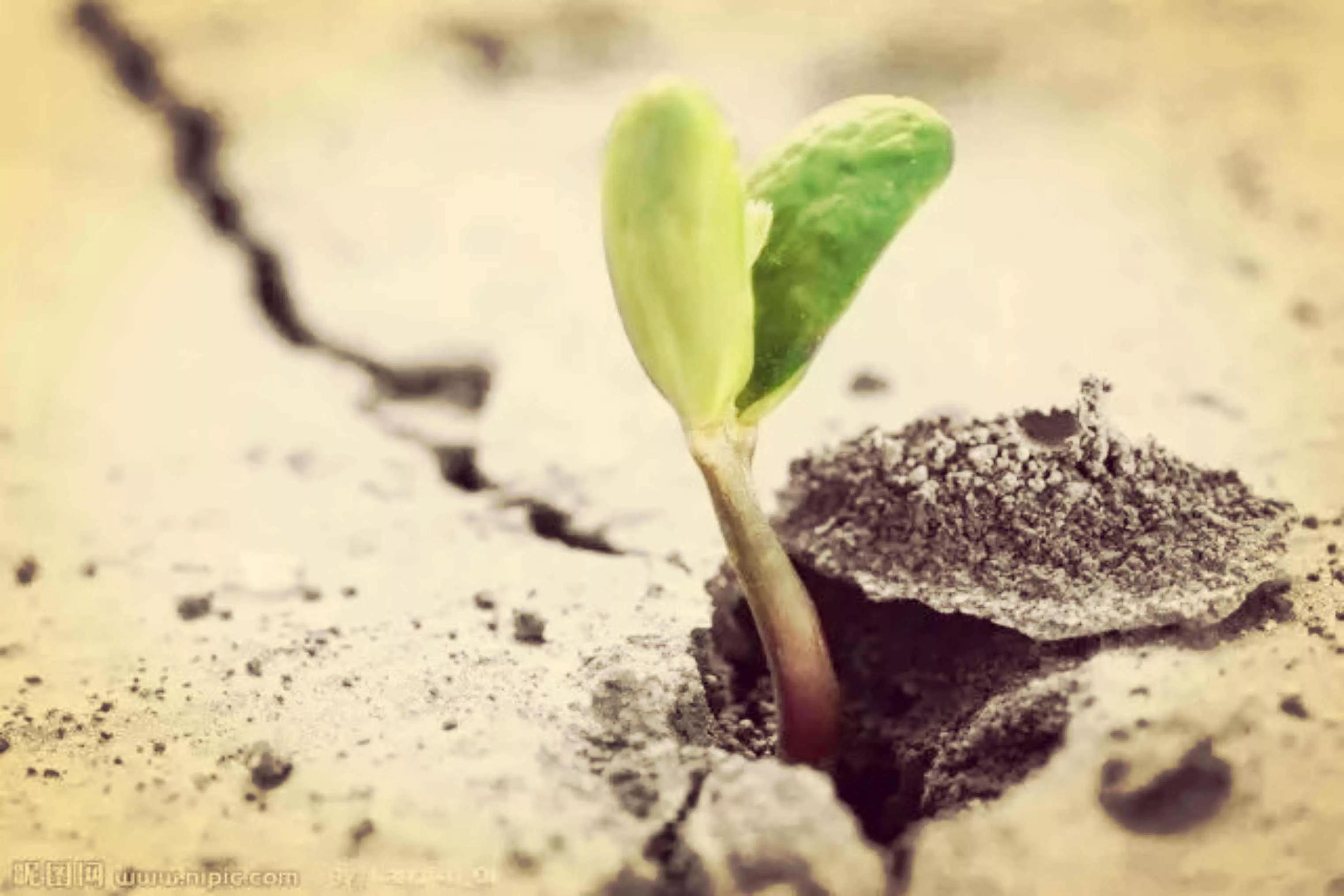 人生最值得的五大投资,人生最值得的五大投资图片