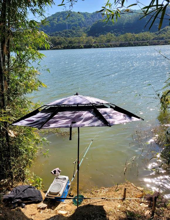 窝里有鱼就是不吃钩,鱼在窝里吐泡不吃钩是什么原因