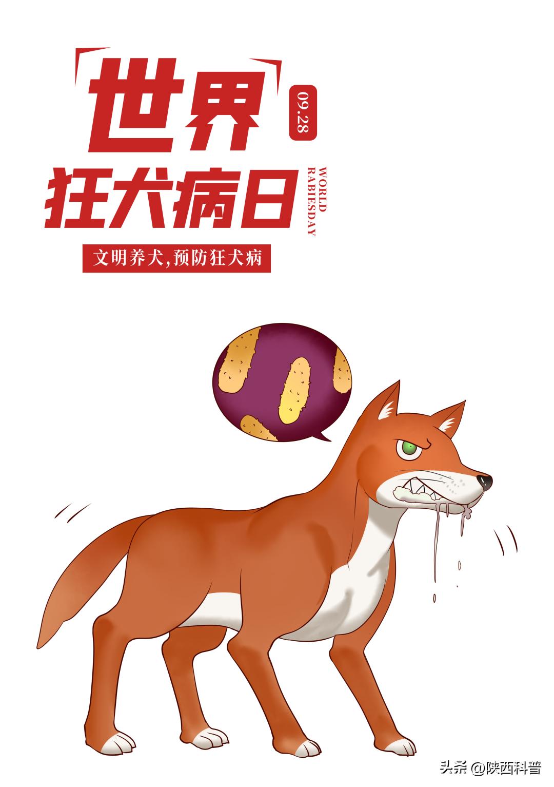 世界狂犬病日狂犬病应对指南,狂犬病与世界狂犬病日