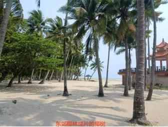 广西、海南4人单车自驾游记