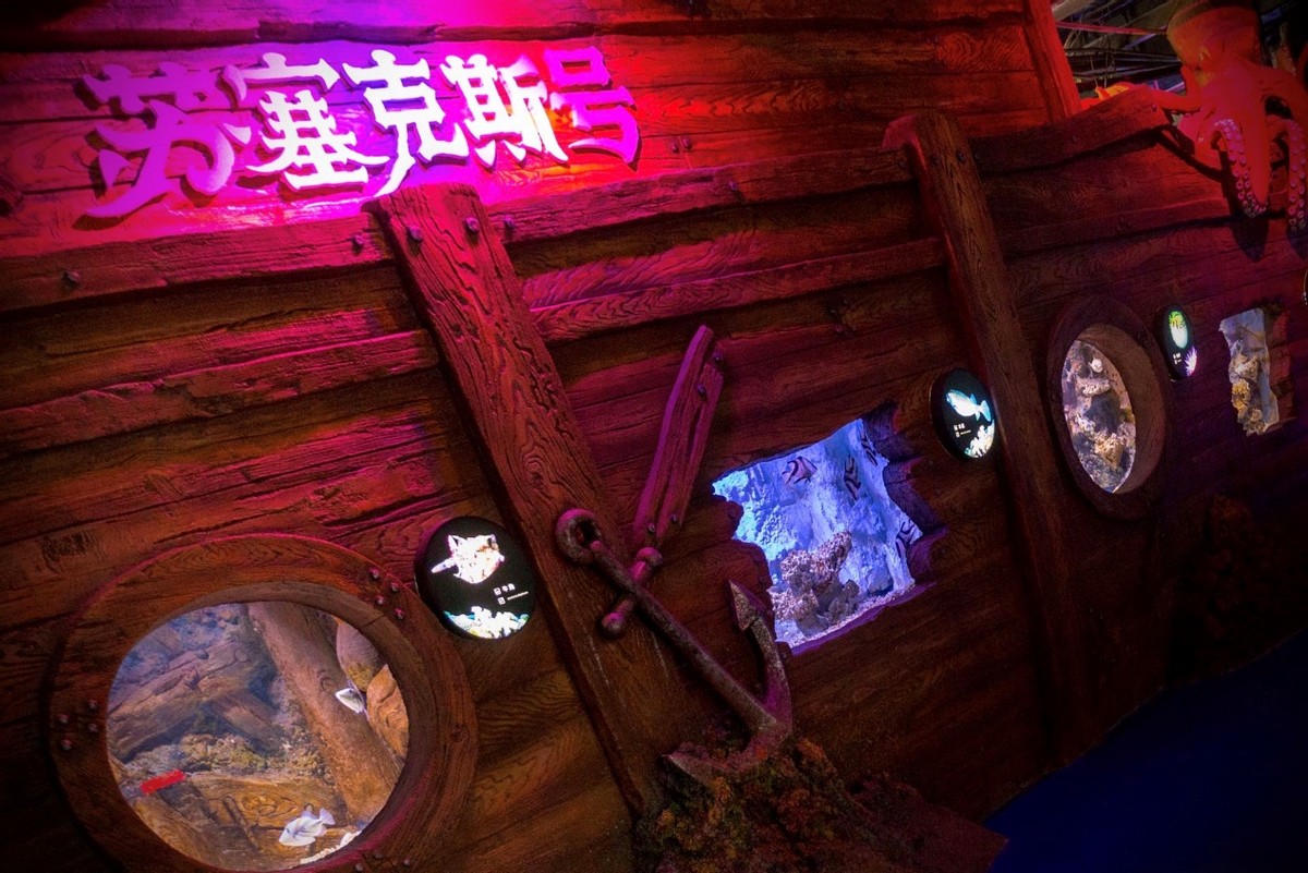 深圳观澜亲子游十大排行榜,深圳周边儿童好玩的海洋世界推荐