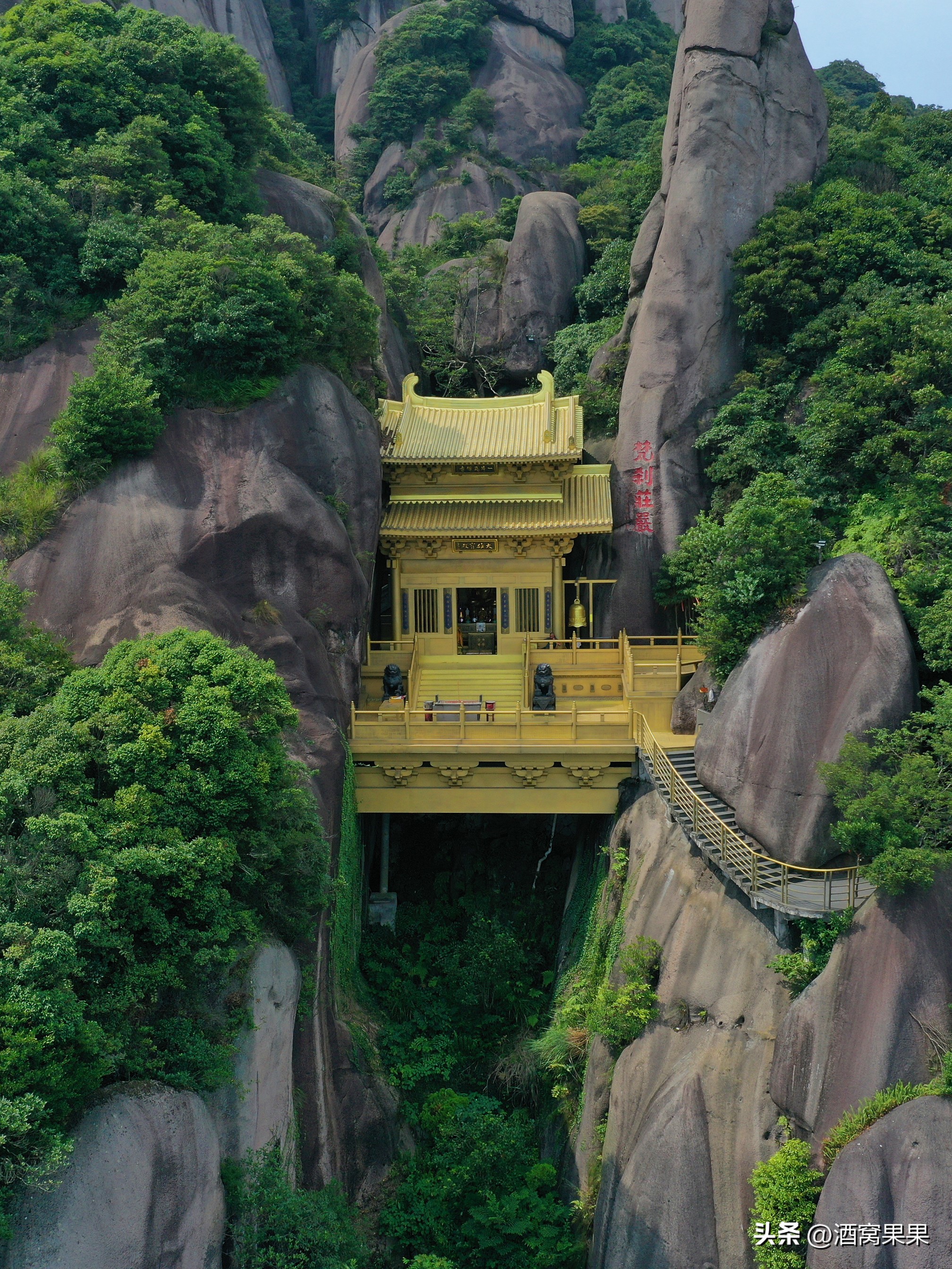 福鼎两天一夜旅游攻略,福鼎茶漫步茶园体验采茶之旅