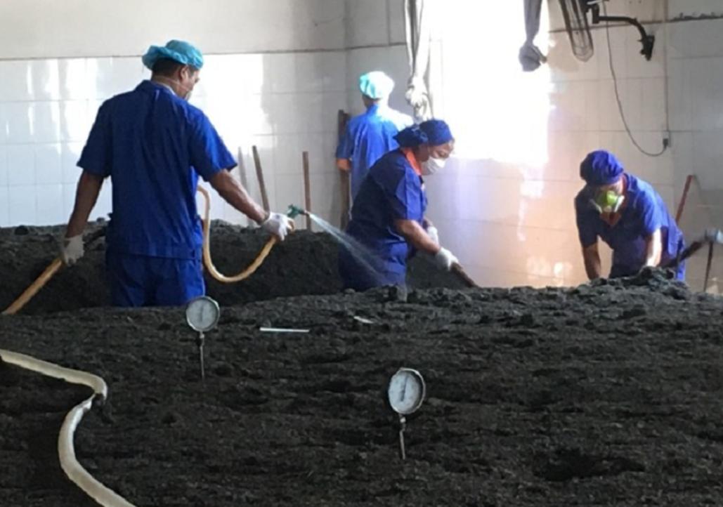 喝普洱熟茶等于喝脏水,普洱熟茶有霉菌吗还能喝吗