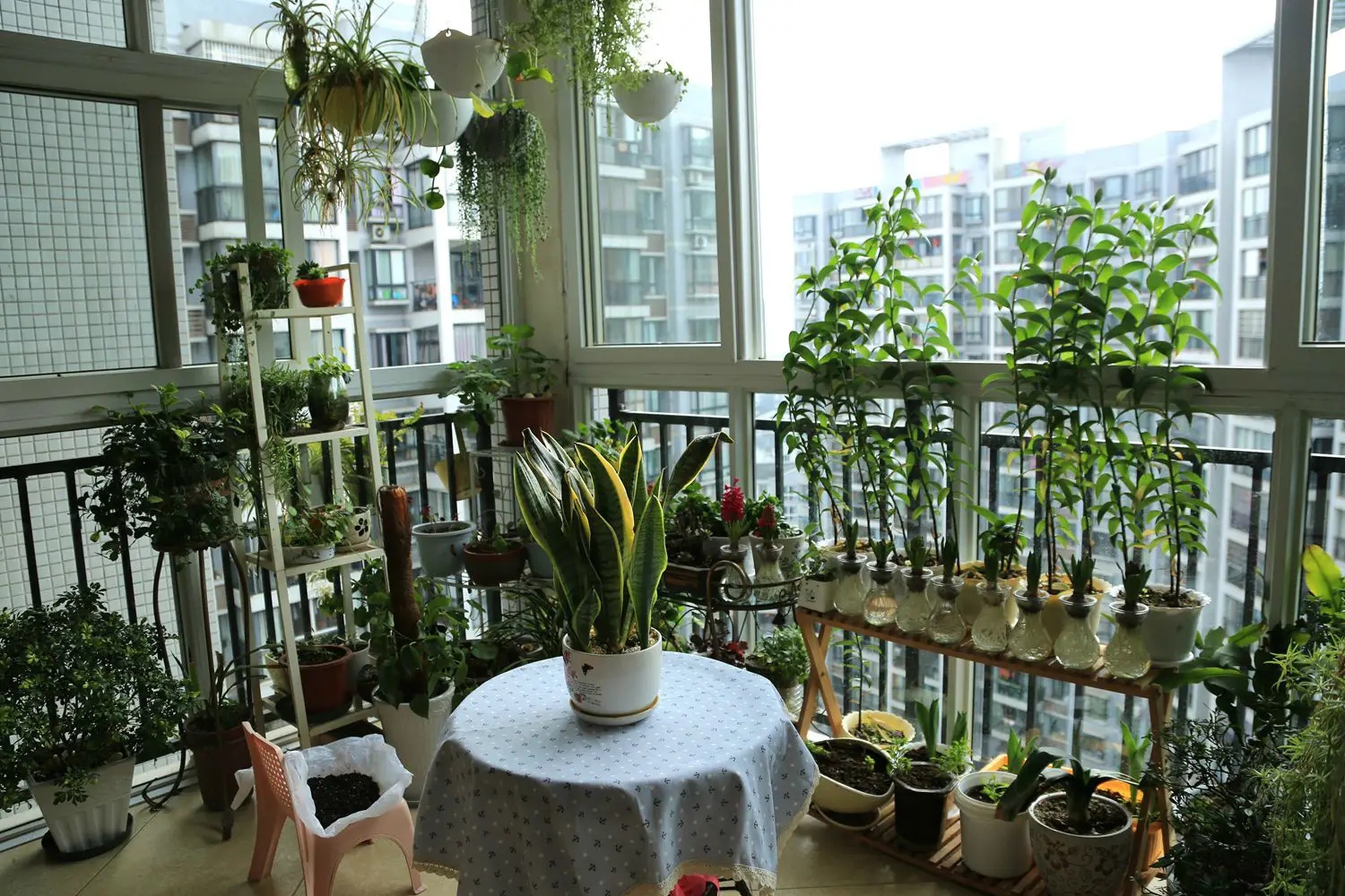 淘米水倒掉妙用,淘米水在日常生活中的几种用途