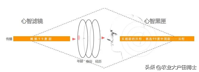 沃柑品牌策划核心竞争力如何提高,沃柑品牌推荐