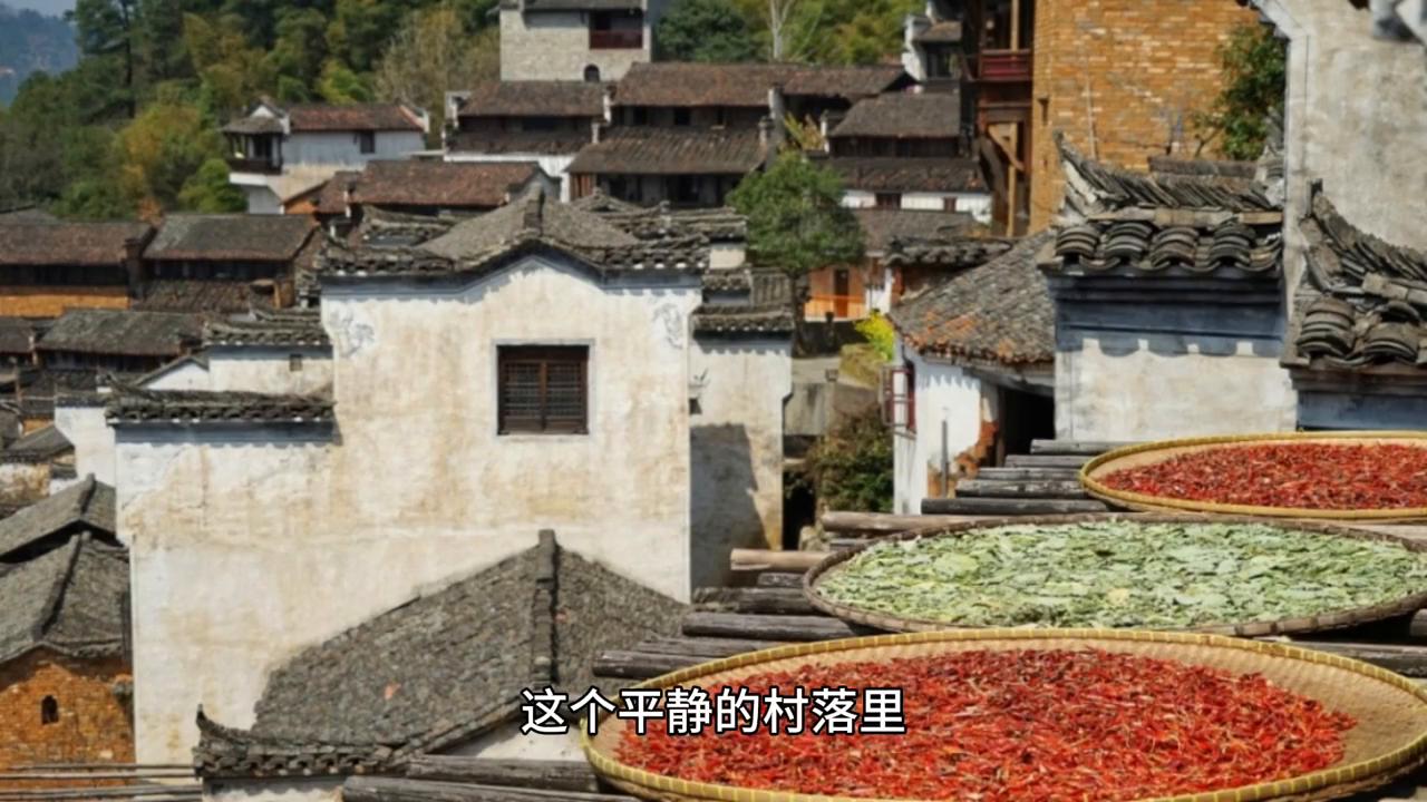 【连载】茅山来信（上）