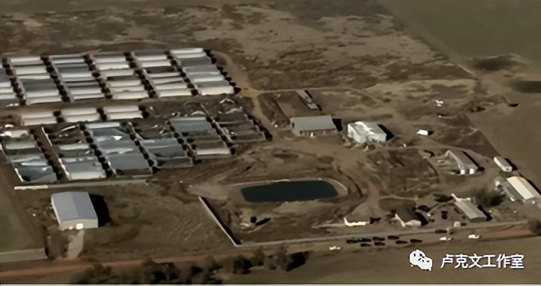 华人大麻农场被杀案,大麻农场华人被杀