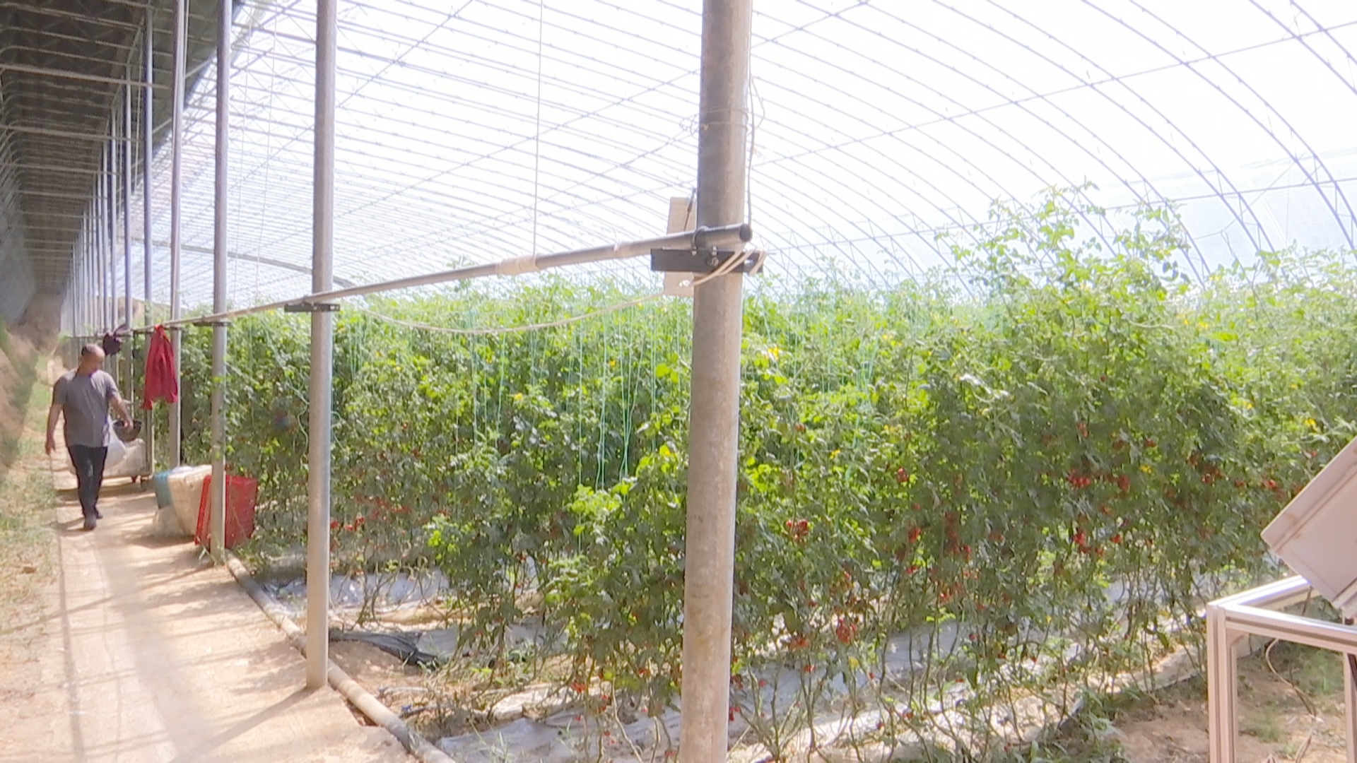 打造齐鲁样板乡村振兴,打造齐鲁乡村振兴样板