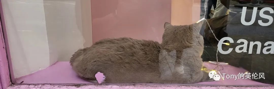 美瞳快用完了?英国日韩美妆购物宝典