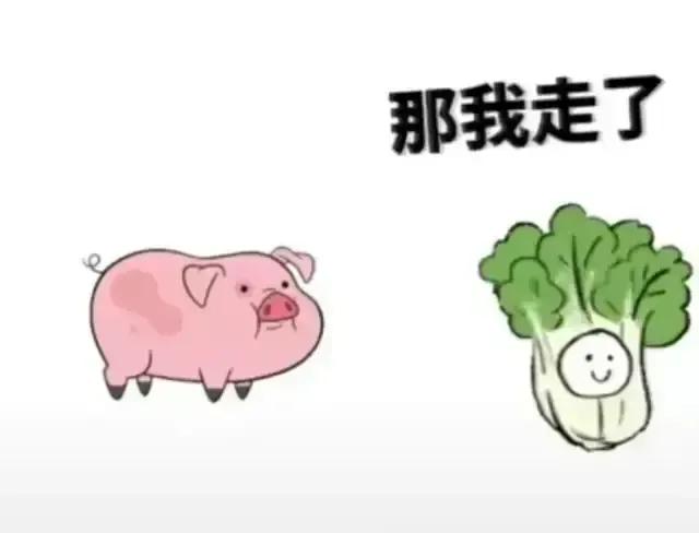 当下我们处在什么样的社会,现代社会的人是怎么样的