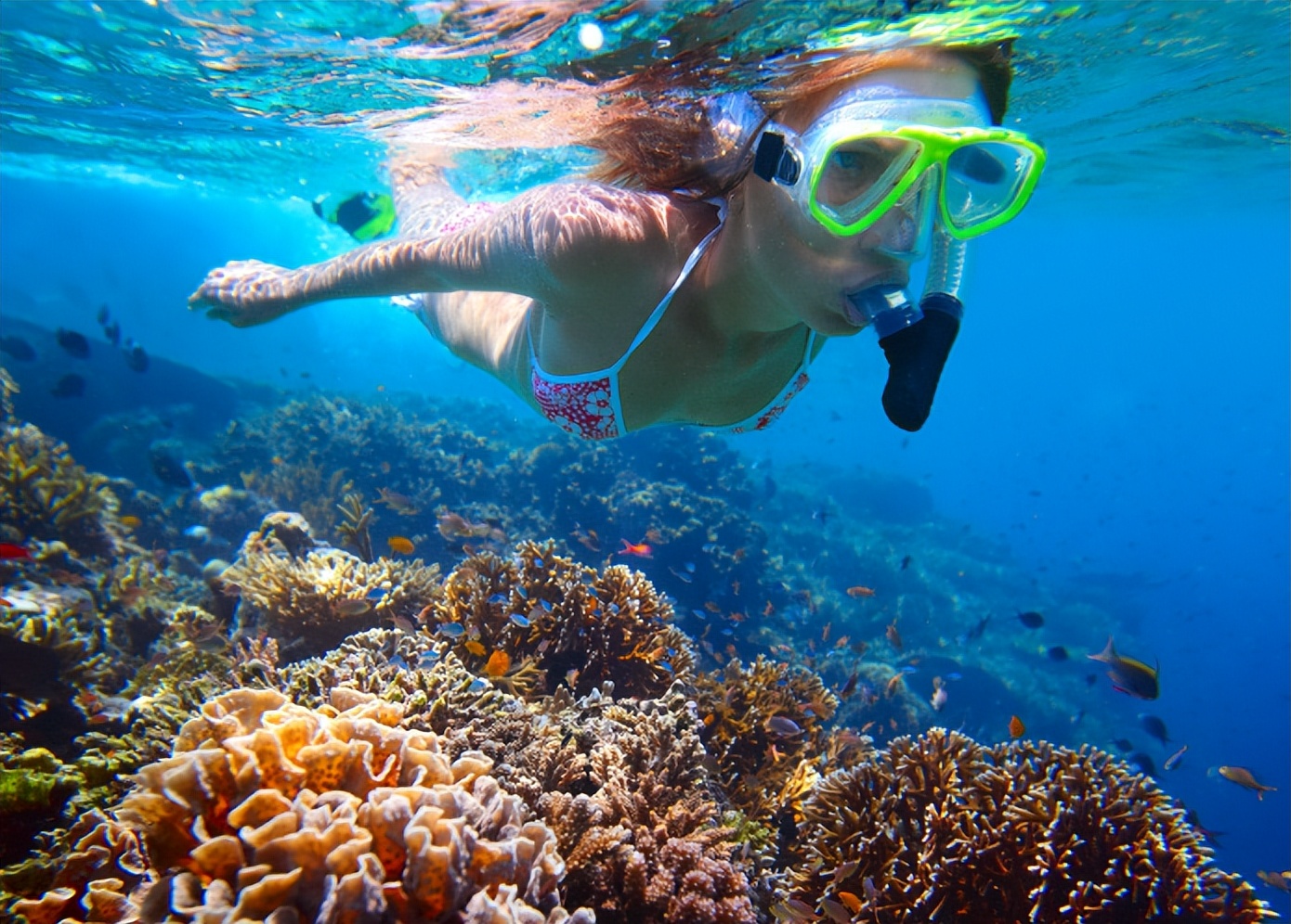 翼装飞行三人魂断天门山,天门山极限运动翼装飞行