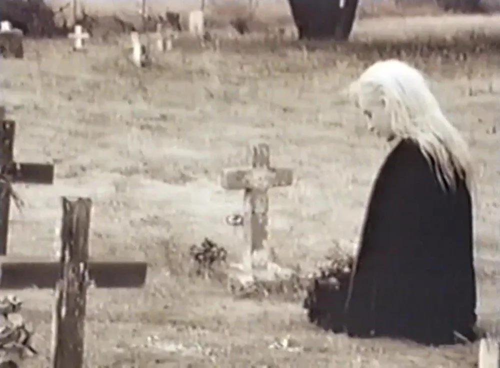 一片伤心画不成,一片伤心画不成小说