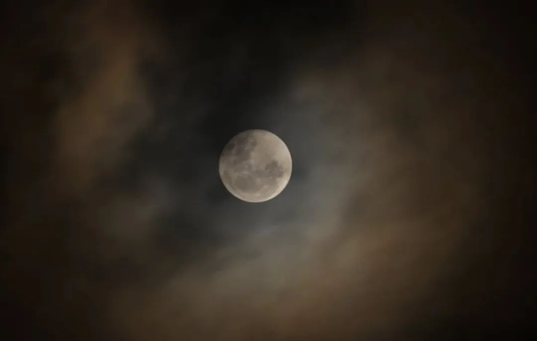 金星落入12星座的感情模式,金星入月