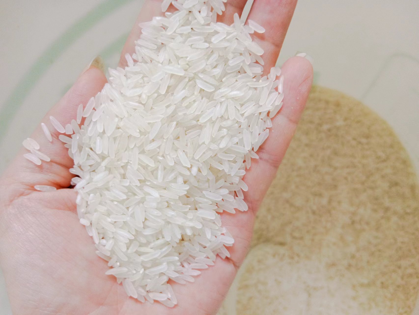 在广东种番薯,在广东种植红薯赚钱吗