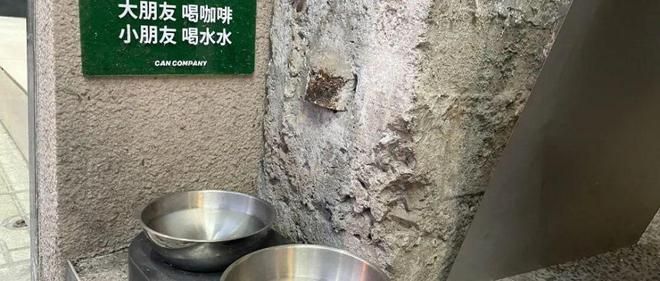 英国人都爱养什么宠物,英国宠物品牌有哪些