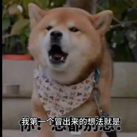 他（她）对你怎么样？#每日一问