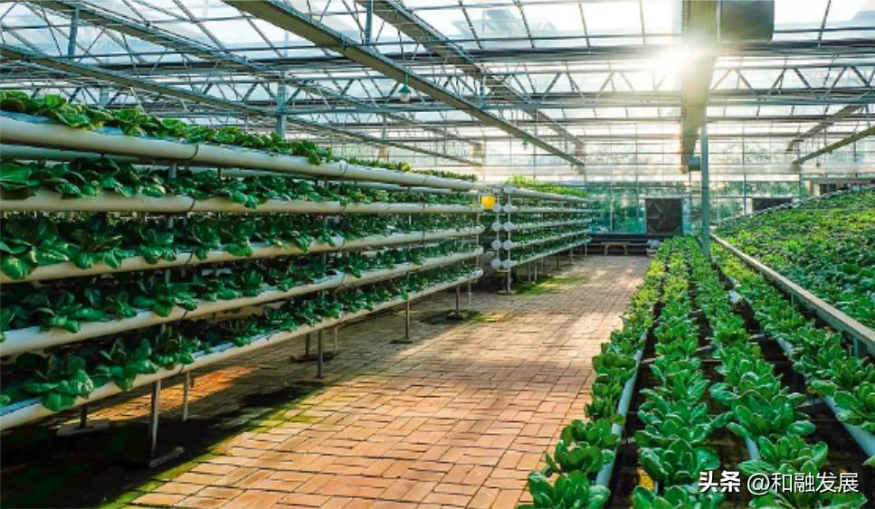 农业转型升级对标高效农业的思考,农业转型发展与乡村振兴