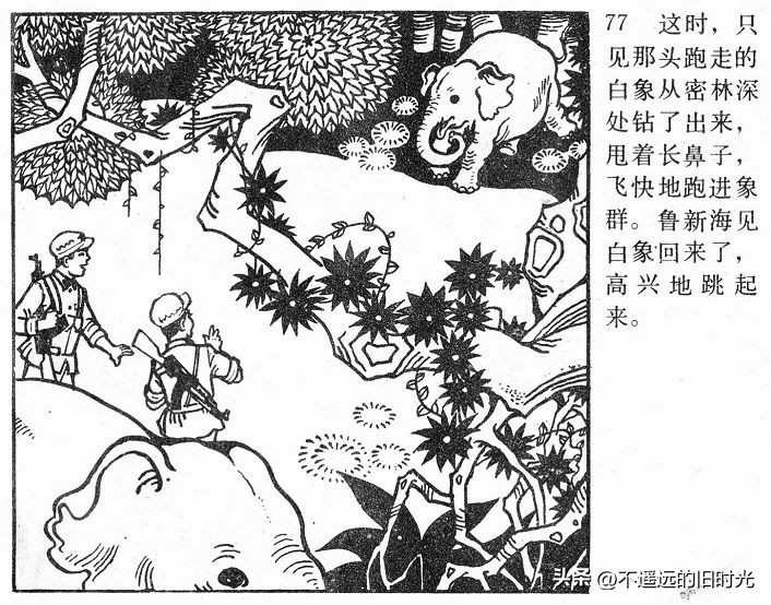 大象搬家,大象搬家河北