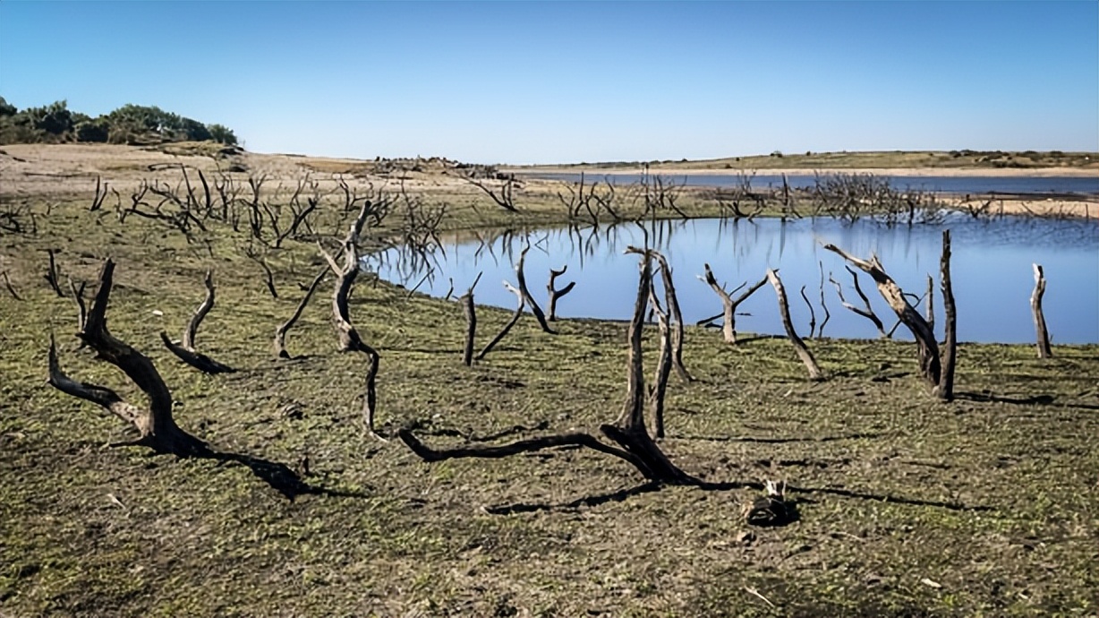 新一轮厄尔尼诺现象,厄尔尼诺最新现象