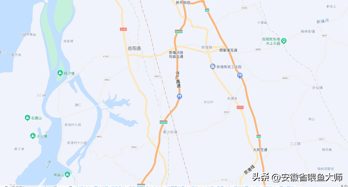 岳阳钓白条，大的有八两，网友:这是白条？这难道不是翘嘴？