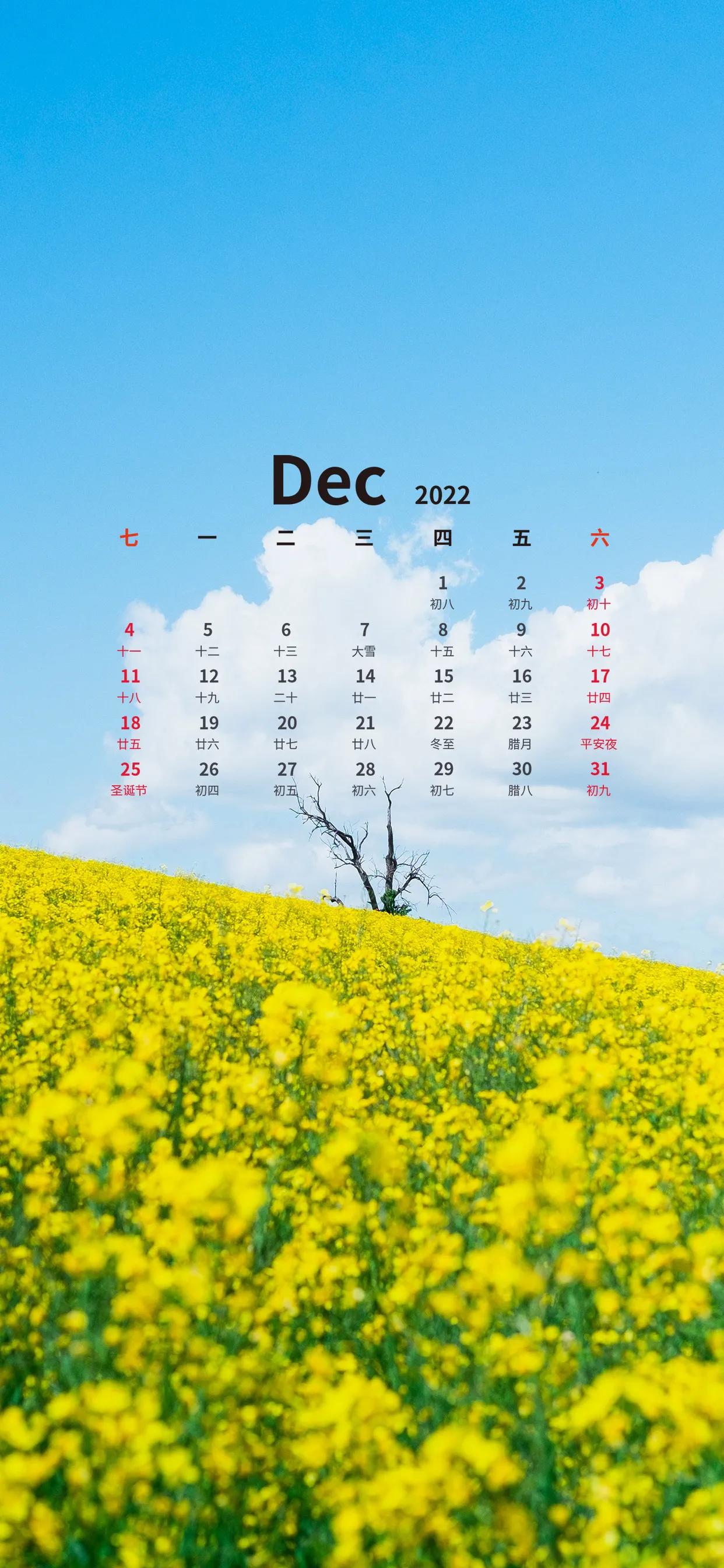 十二月日历壁纸,手机壁纸12月29日