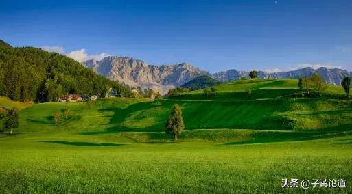 你怎么争也争不过天小视频,你怎么争都争不过天道