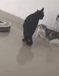 误发给女房东的微信,给老婆发短信误发给了女房东