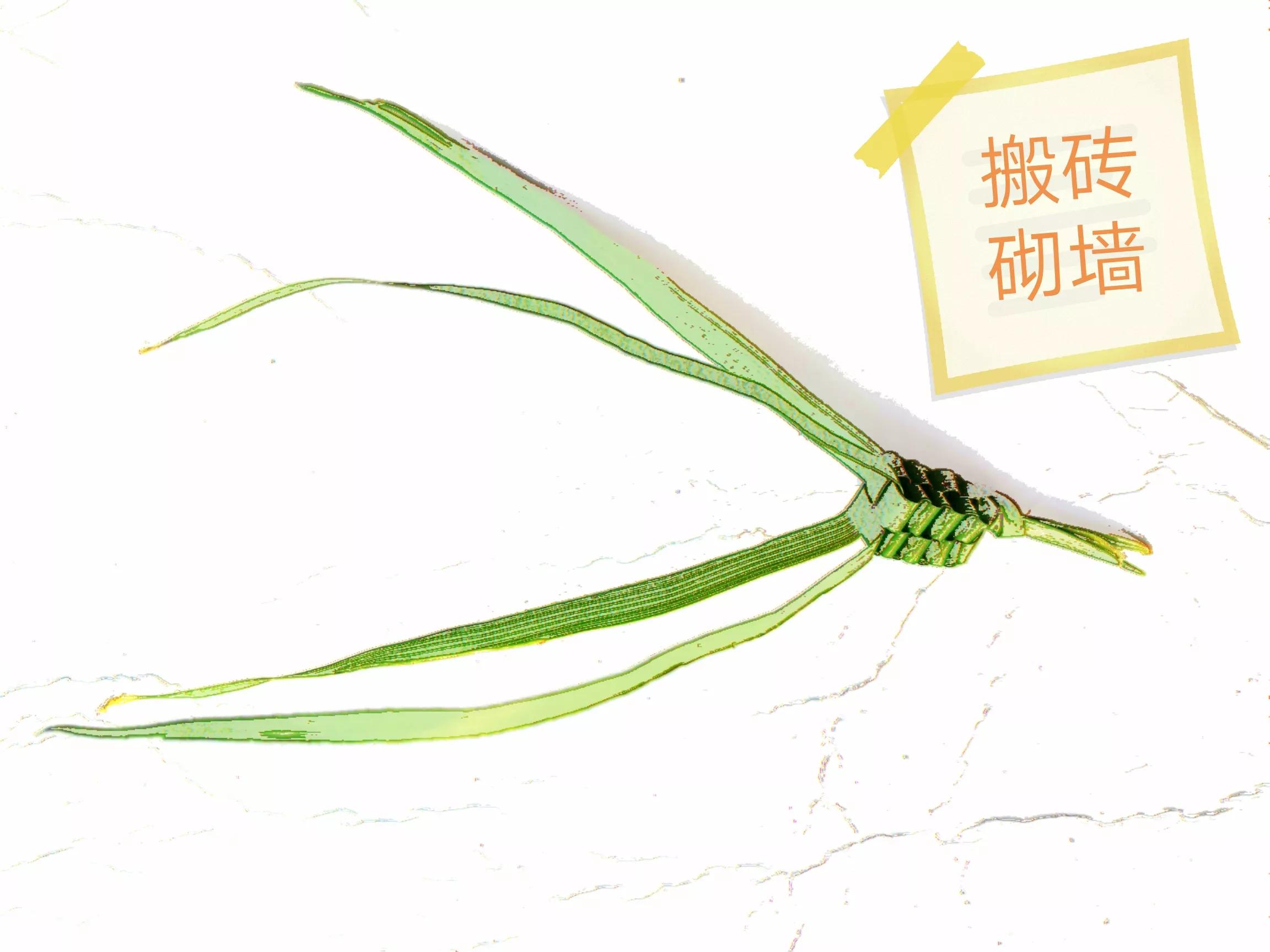 这样的小蜂窝，是不是也唤醒了你的童年记忆？