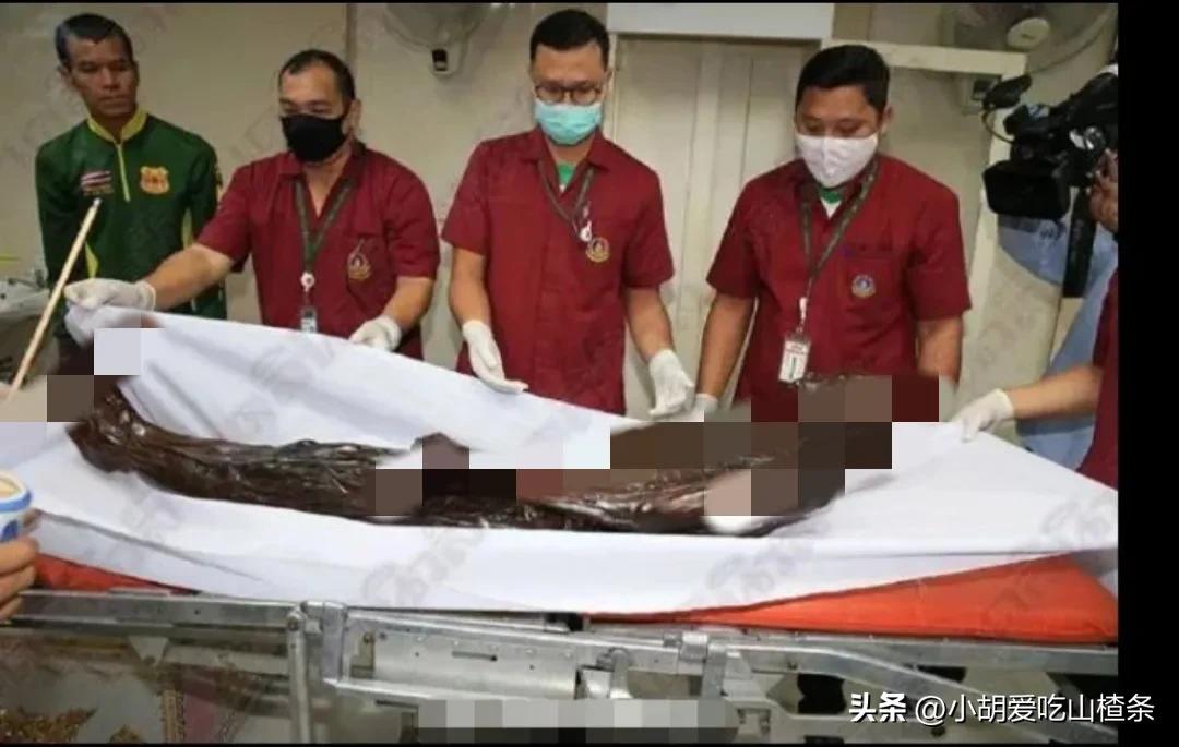 食人狂魔细伟真实事件解说,食人魔细伟现状