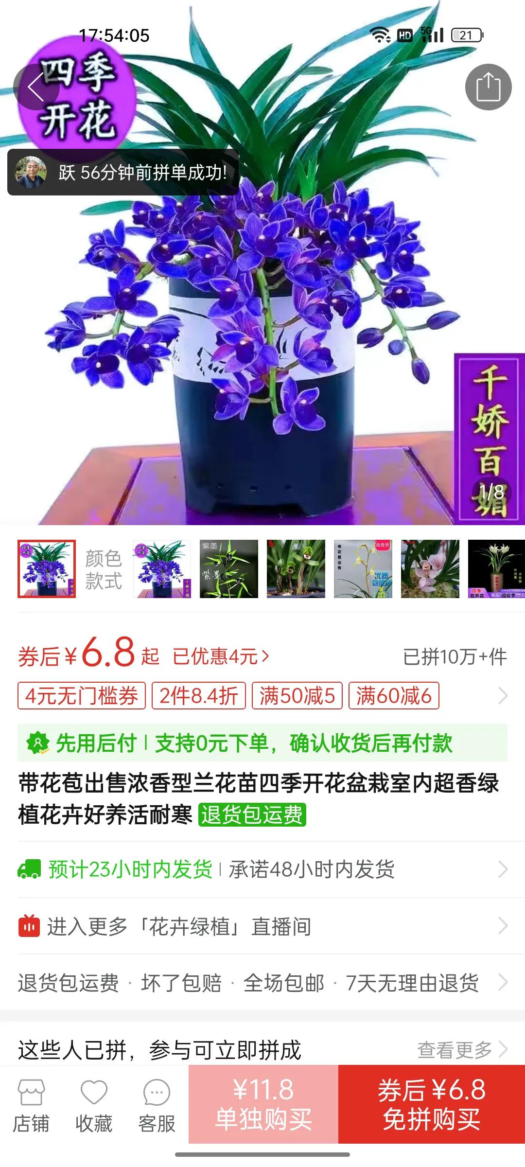 网购兰花如何防骗,如何在网上买兰花不上当