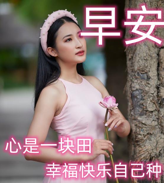 经典动人的早安心语语录汇编76条,早安心语带字正能量简短的句子