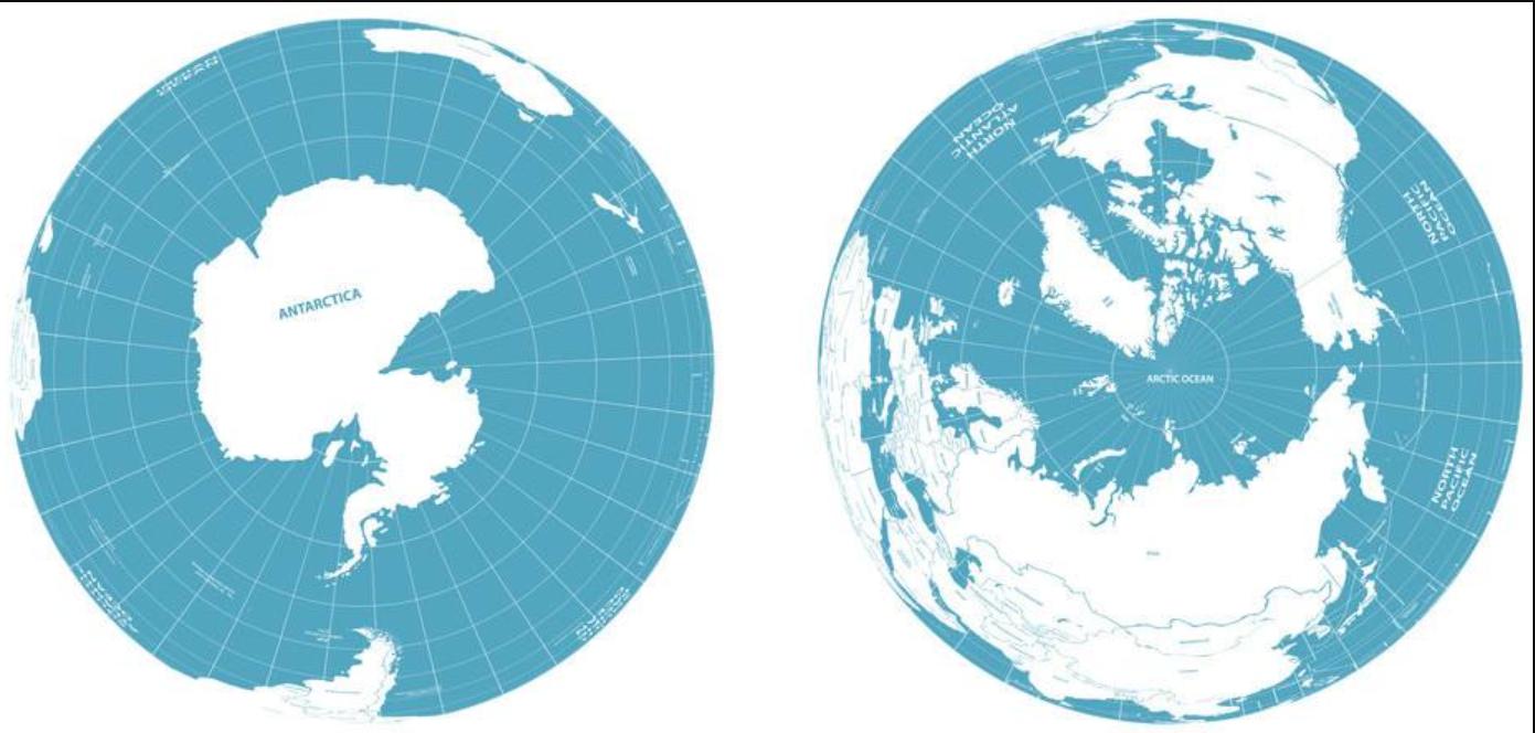 北极为何没有企鹅？80多年前放养在北极的69只企鹅，是何结局？