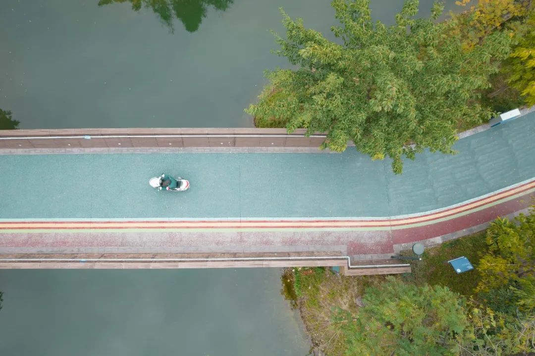 10个城市宝藏,成都还有哪些宝藏公园