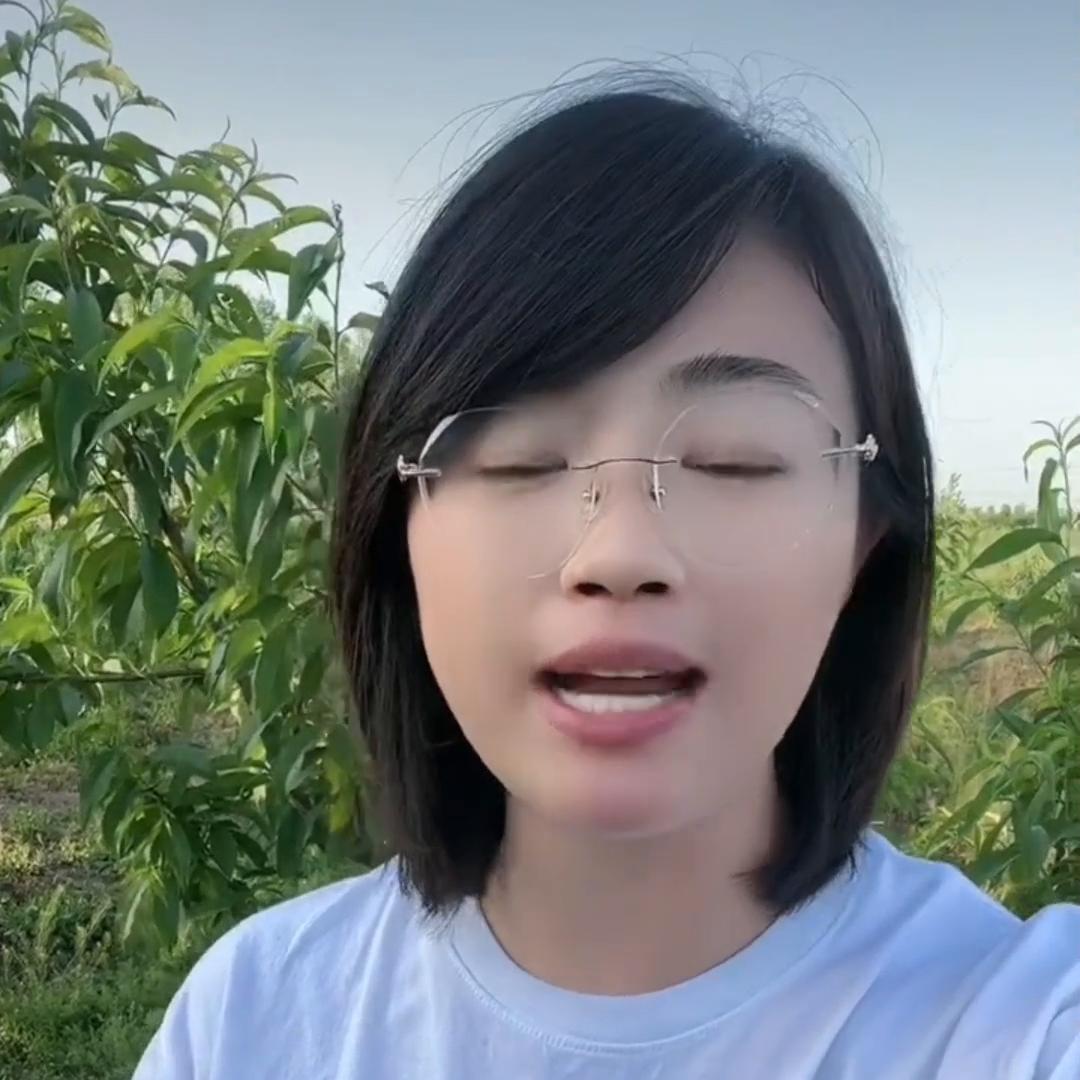 球兰蚧壳虫治疗方法,治疗蚧壳虫简易方法