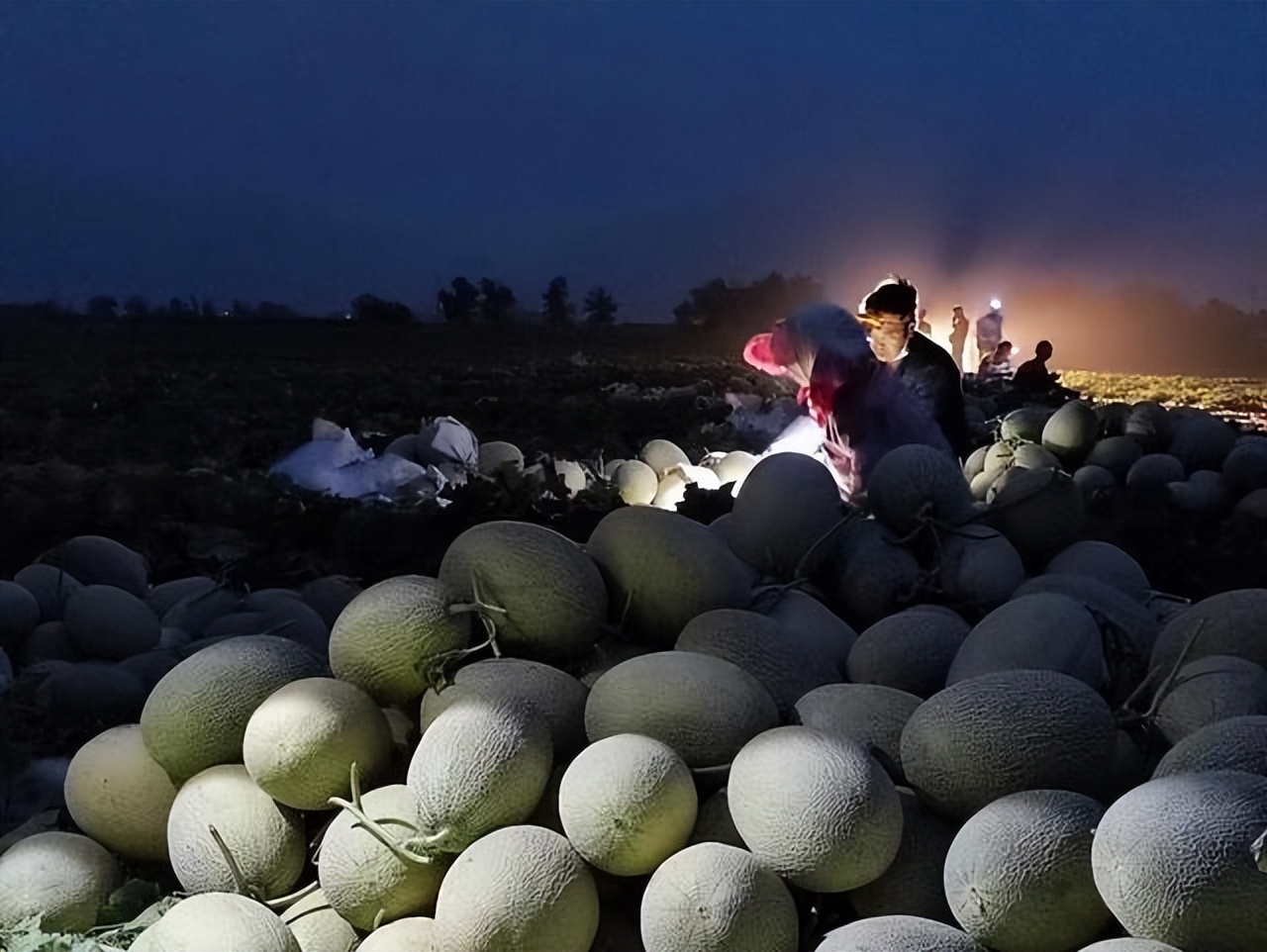 辛有志直播带货助力乡村振兴，连续四年来黑龙江开展冠军助学活动