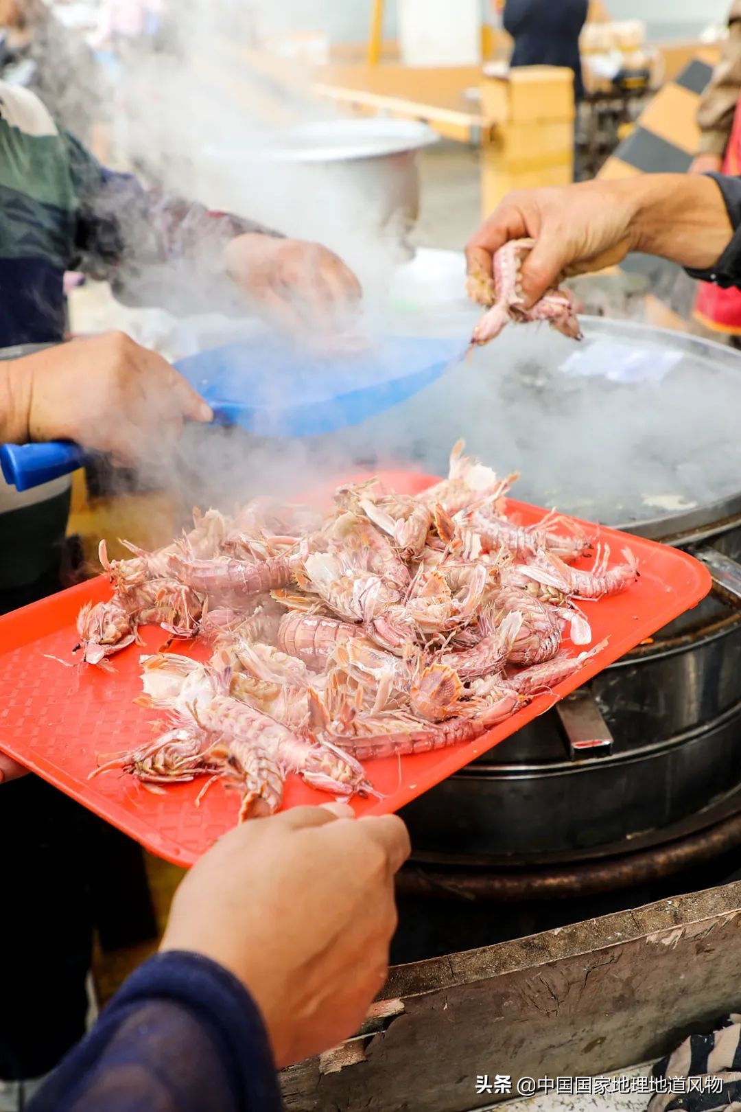 辽宁哪个地方的海鲜最好,辽宁各市都有啥海鲜