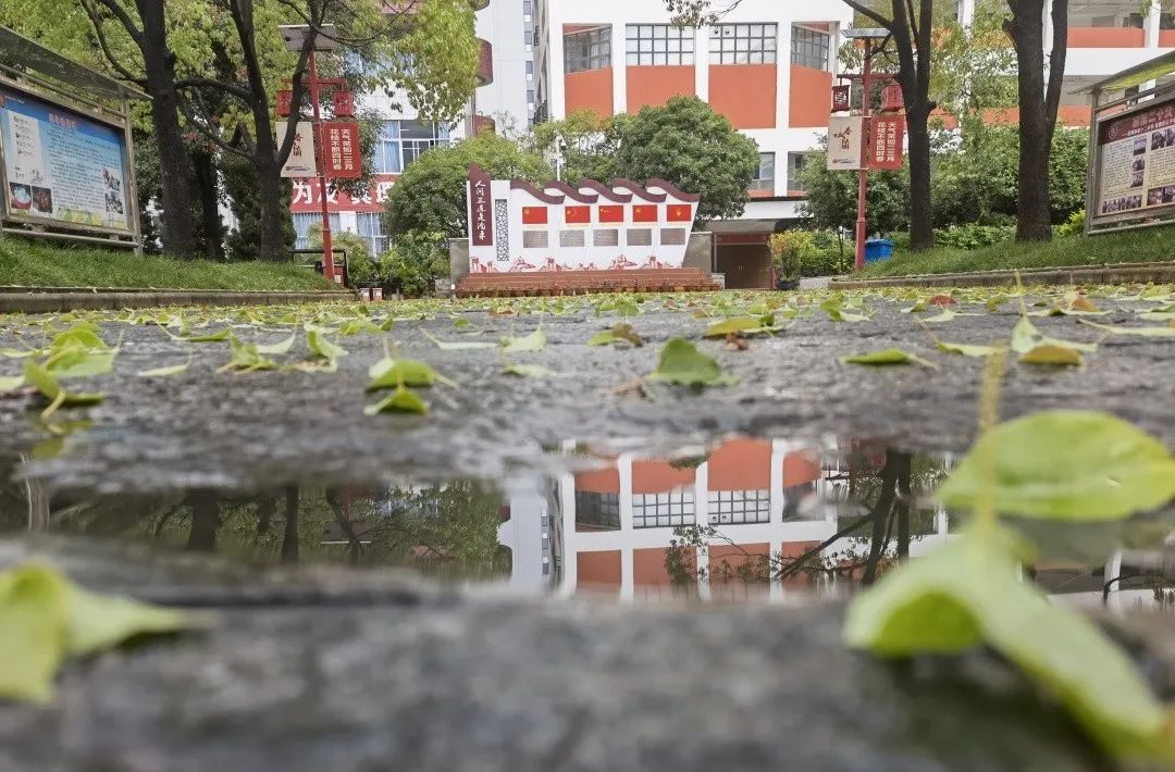 秋季限定|昆明九所学校，送你诗意校园里的一抹金