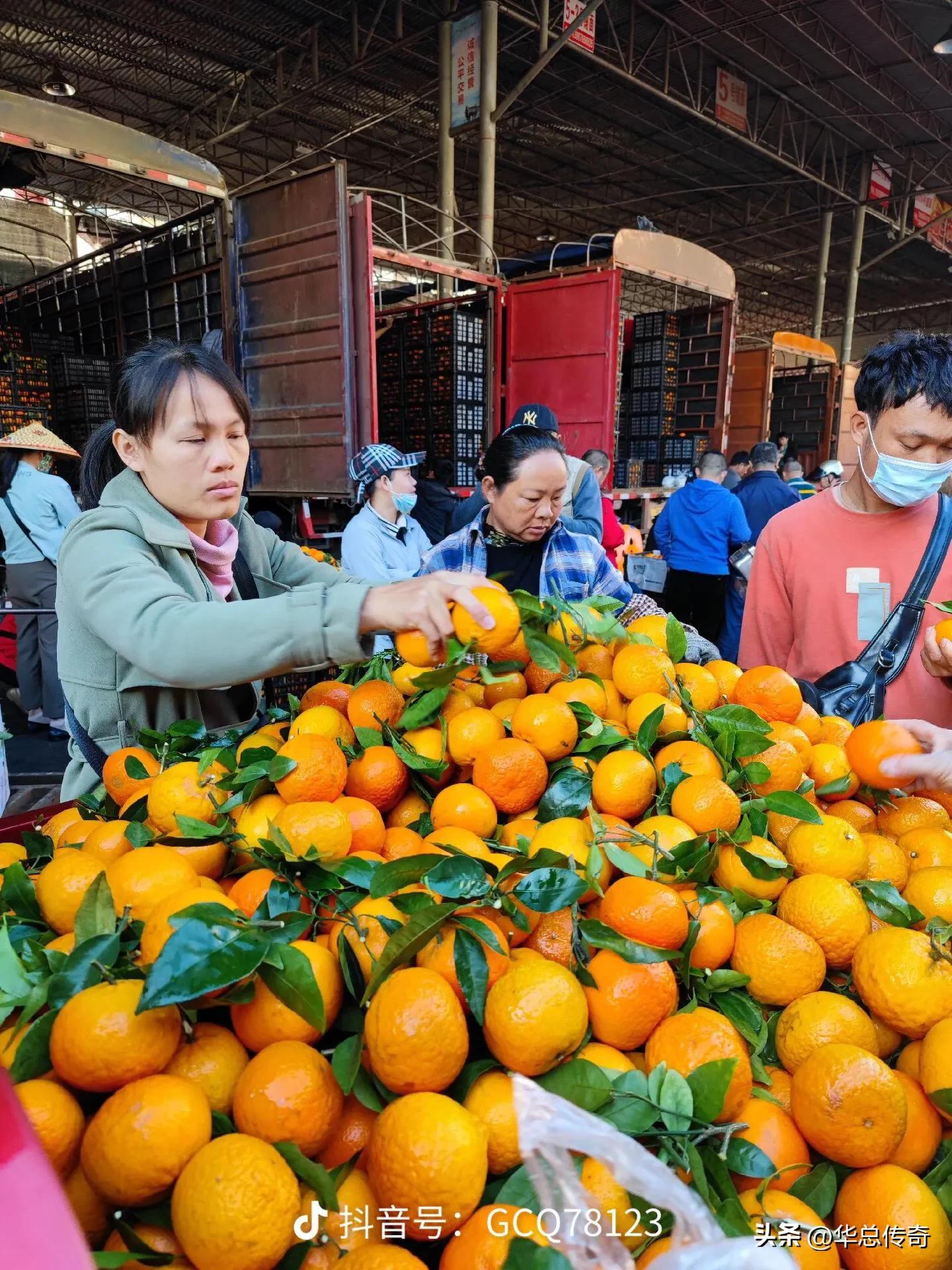 为什么海南的水果比内地贵,海南的蔬菜水果为什么贵