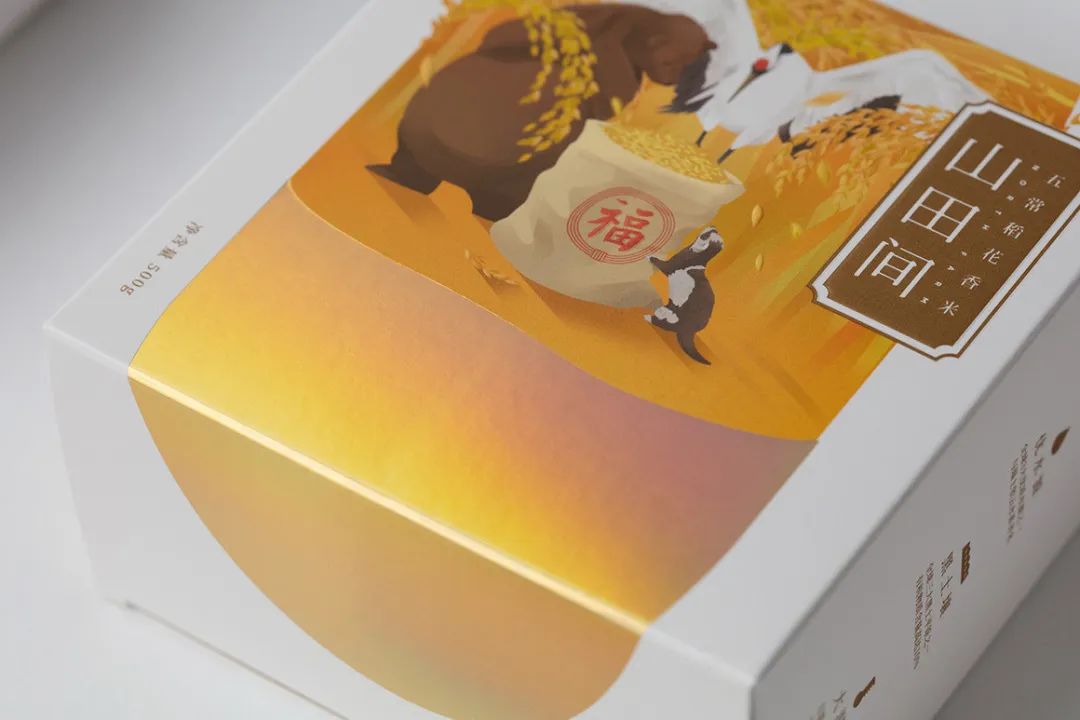 闀囨睙澶х背鍖呰璁捐,澶х背鍖呰璁捐娴欐睙