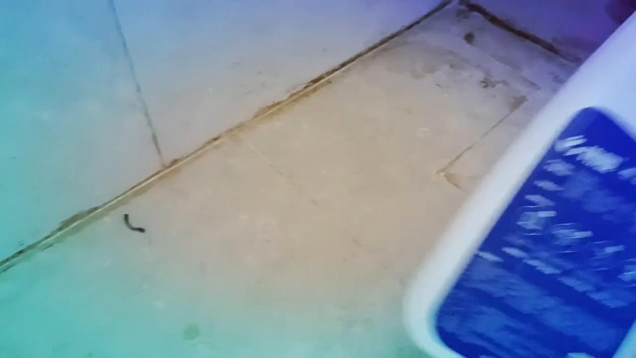 刘姐免费帮小美女们打扫卫生，看淋浴房是怎么样打扫的吧