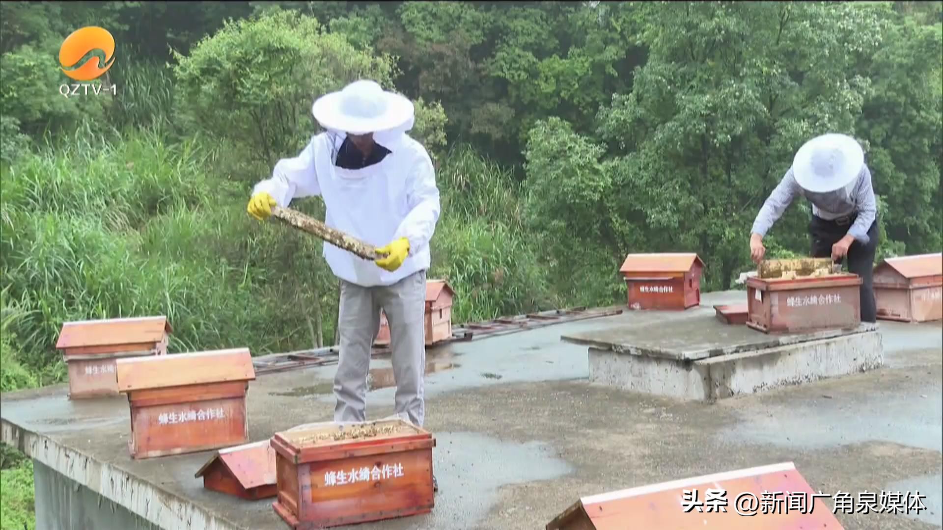 永春蜂蜜节,福建永春蜂蜜节